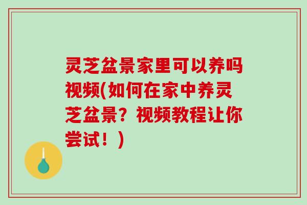 灵芝盆景家里可以养吗视频(如何在家中养灵芝盆景？视频教程让你尝试！)