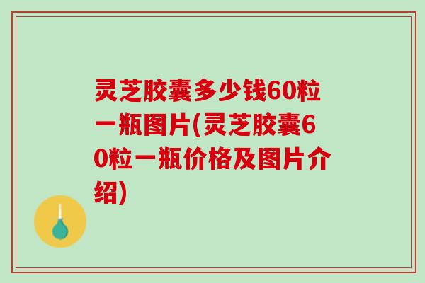 灵芝胶囊多少钱60粒一瓶图片(灵芝胶囊60粒一瓶价格及图片介绍)