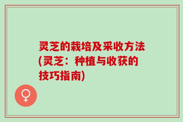 灵芝的栽培及采收方法(灵芝:种植与收获的技巧指南) 灵芝的栽培及采收方法(灵芝:种植与收获的技巧指南)