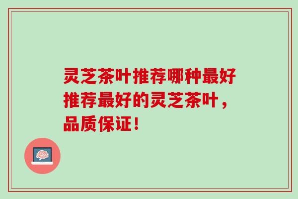 灵芝茶叶推荐哪种最好推荐最好的灵芝茶叶，品质保证！