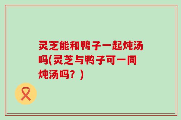 灵芝能和鸭子一起炖汤吗(灵芝与鸭子可一同炖汤吗？)