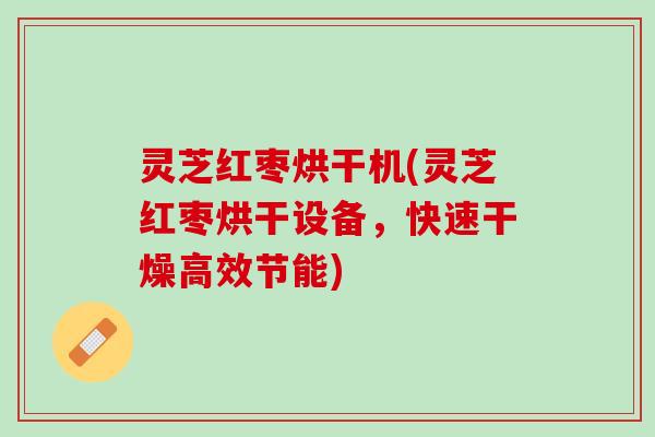 灵芝红枣烘干机(灵芝红枣烘干设备，快速干燥高效节能)