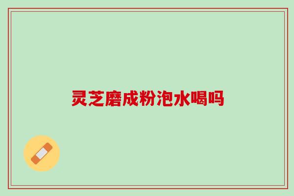 灵芝磨成粉泡水喝吗