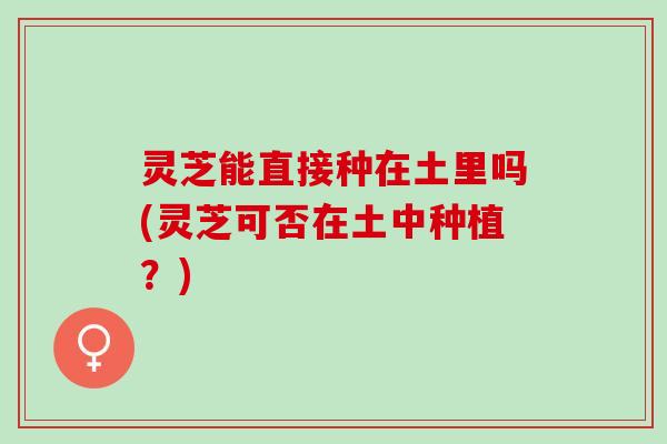 灵芝能直接种在土里吗(灵芝可否在土中种植？)