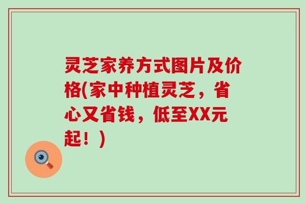 灵芝家养方式图片及价格(家中种植灵芝，省心又省钱，低至XX元起！)