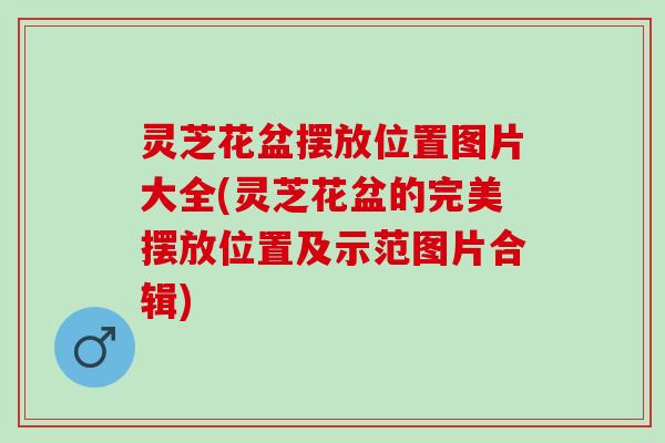 灵芝花盆摆放位置图片大全(灵芝花盆的完美摆放位置及示范图片合辑)