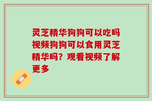 灵芝精华狗狗可以吃吗视频狗狗可以食用灵芝精华吗？观看视频了解更多