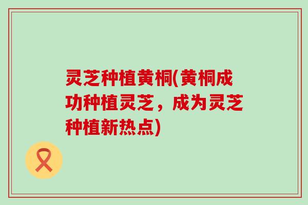 灵芝种植黄桐(黄桐成功种植灵芝，成为灵芝种植新热点)