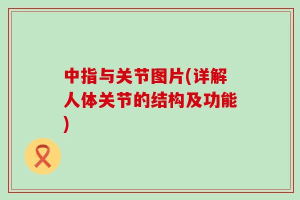 中指与关节图片(详解人体关节的结构及功能)
