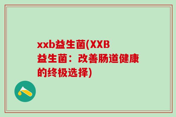 xxb益生菌(XXB益生菌：改善肠道健康的终极选择)