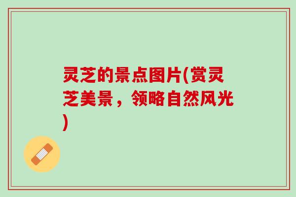 灵芝的景点图片(赏灵芝美景，领略自然风光)