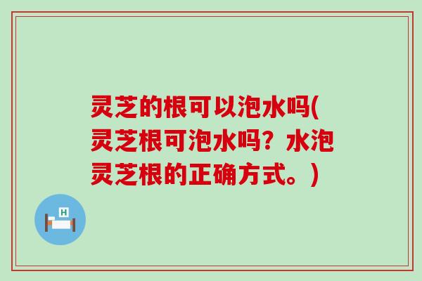 灵芝的根可以泡水吗(灵芝根可泡水吗？水泡灵芝根的正确方式。)