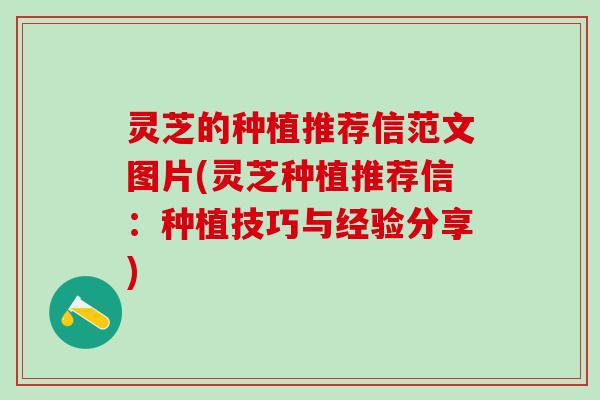 灵芝的种植推荐信范文图片(灵芝种植推荐信：种植技巧与经验分享)