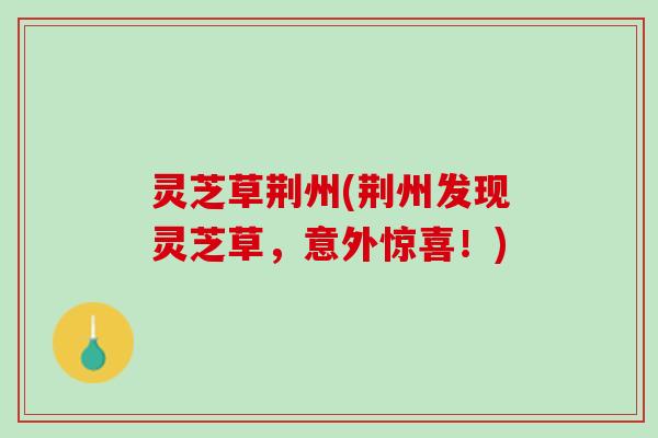灵芝草荆州(荆州发现灵芝草，意外惊喜！)
