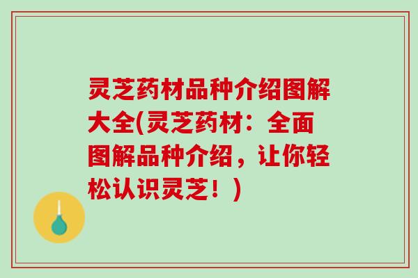 灵芝药材品种介绍图解大全(灵芝药材：全面图解品种介绍，让你轻松认识灵芝！)