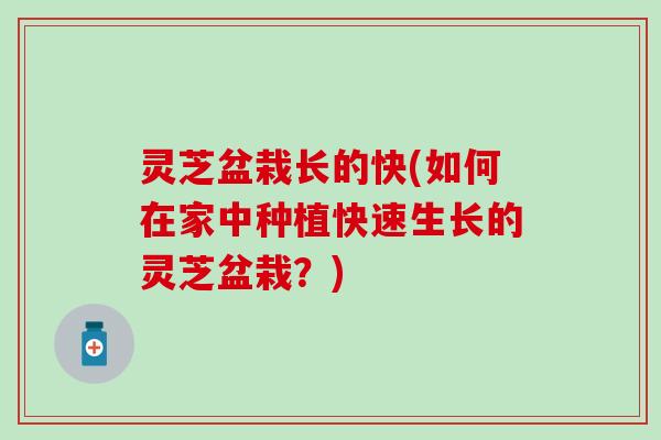 灵芝盆栽长的快(如何在家中种植快速生长的灵芝盆栽？)
