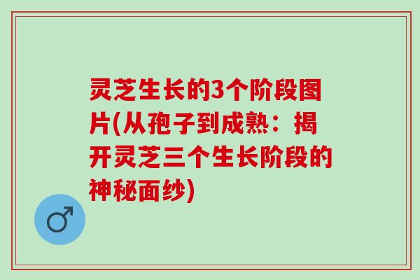 灵芝生长的3个阶段图片(从孢子到成熟：揭开灵芝三个生长阶段的神秘面纱)