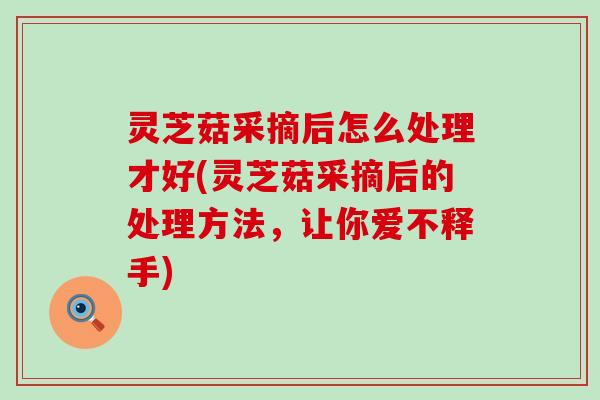 灵芝菇采摘后怎么处理才好(灵芝菇采摘后的处理方法，让你爱不释手)