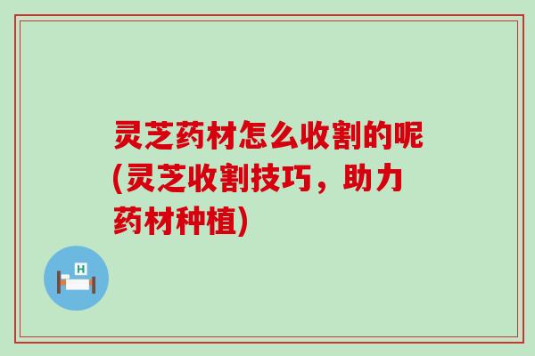 灵芝药材怎么收割的呢(灵芝收割技巧，助力药材种植)