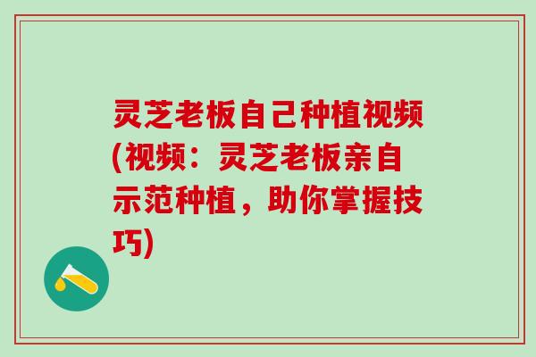灵芝老板自己种植视频(视频：灵芝老板亲自示范种植，助你掌握技巧)