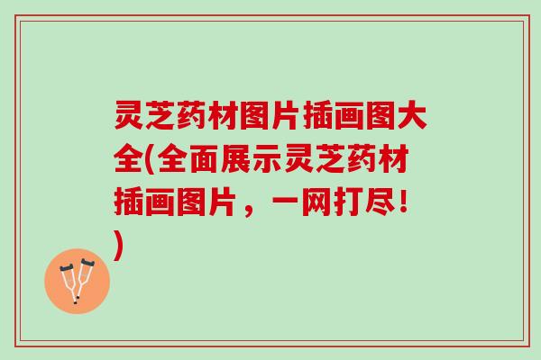 灵芝药材图片插画图大全(全面展示灵芝药材插画图片，一网打尽！)