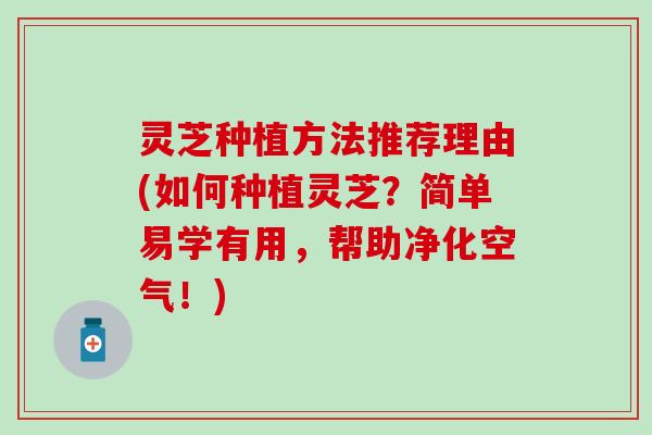 灵芝种植方法推荐理由(如何种植灵芝?简单易学有用,帮助净化空气!) 灵芝种植方法推荐理由(如何种植灵芝?简单易学有用,帮助净化空气!)