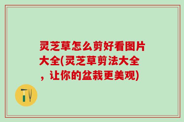 灵芝草怎么剪好看图片大全(灵芝草剪法大全，让你的盆栽更美观)