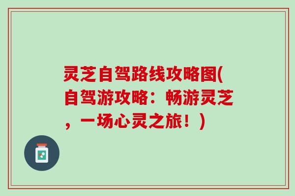 灵芝自驾路线攻略图(自驾游攻略：畅游灵芝，一场心灵之旅！)