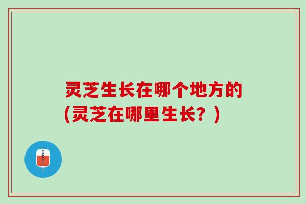 灵芝生长在哪个地方的(灵芝在哪里生长？)