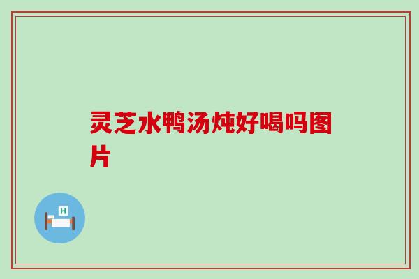 灵芝水鸭汤炖好喝吗图片