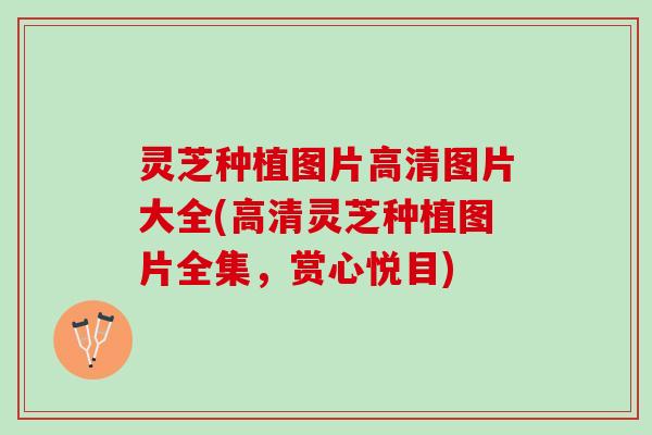 灵芝种植图片高清图片大全(高清灵芝种植图片全集，赏心悦目)