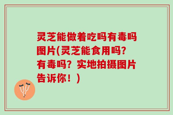 灵芝能做着吃吗有毒吗图片(灵芝能食用吗？有毒吗？实地拍摄图片告诉你！)