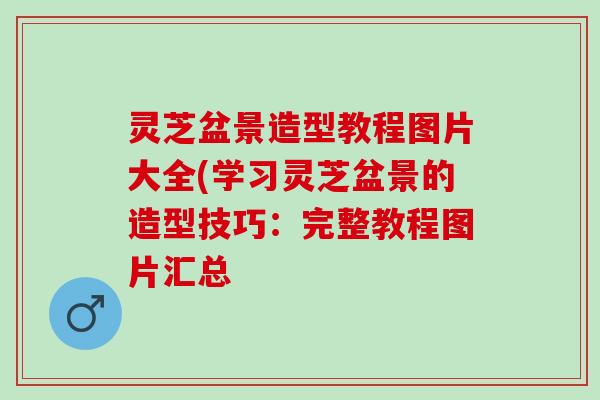 灵芝盆景造型教程图片大全(学习灵芝盆景的造型技巧：完整教程图片汇总