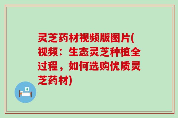 灵芝药材视频版图片(视频：生态灵芝种植全过程，如何选购优质灵芝药材)