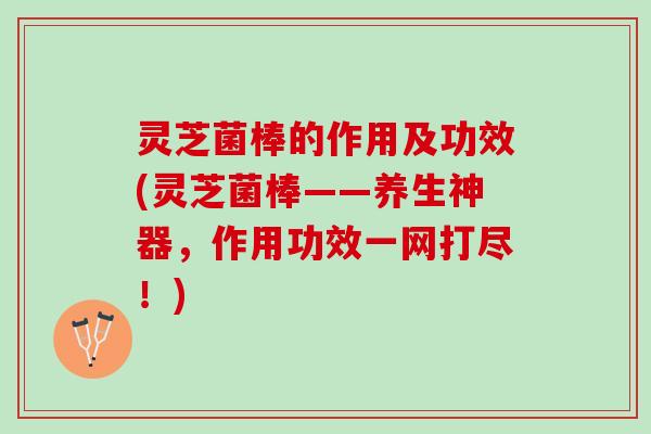 灵芝菌棒的作用及功效(灵芝菌棒——养生神器，作用功效一网打尽！)