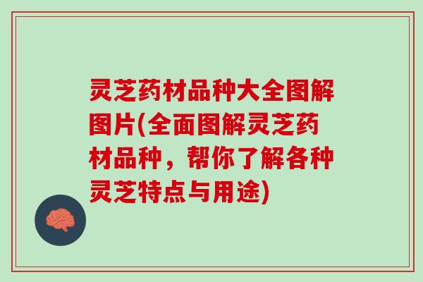 灵芝药材品种大全图解图片(全面图解灵芝药材品种，帮你了解各种灵芝特点与用途)