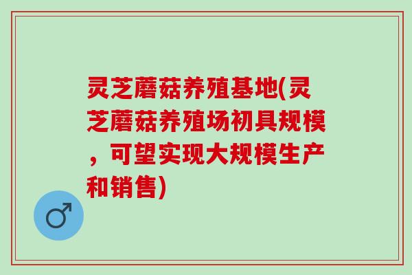 灵芝蘑菇养殖基地(灵芝蘑菇养殖场初具规模，可望实现大规模生产和销售)