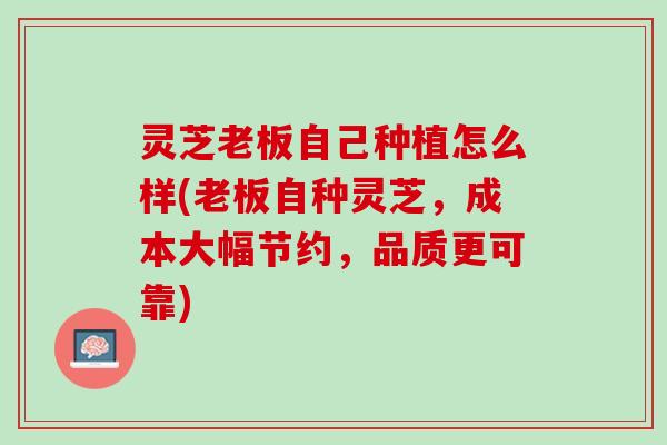 灵芝老板自己种植怎么样(老板自种灵芝，成本大幅节约，品质更可靠)