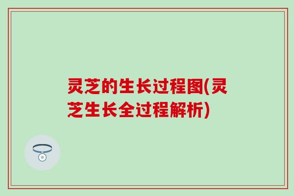 灵芝的生长过程图(灵芝生长全过程解析)