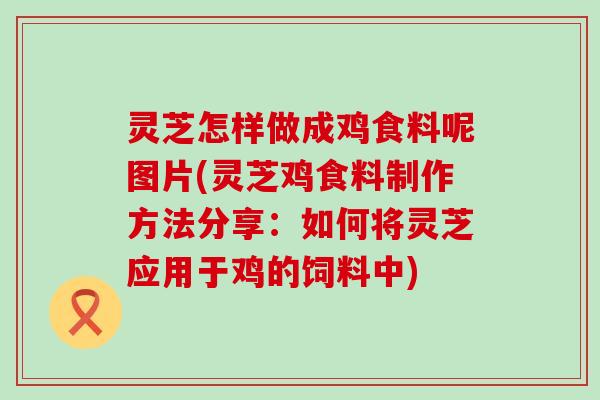 灵芝怎样做成鸡食料呢图片(灵芝鸡食料制作方法分享：如何将灵芝应用于鸡的饲料中)