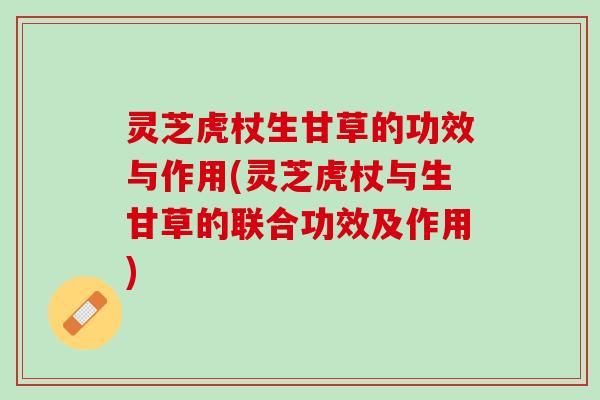 灵芝虎杖生甘草的功效与作用(灵芝虎杖与生甘草的联合功效及作用)