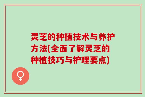 灵芝的种植技术与养护方法(全面了解灵芝的种植技巧与护理要点)