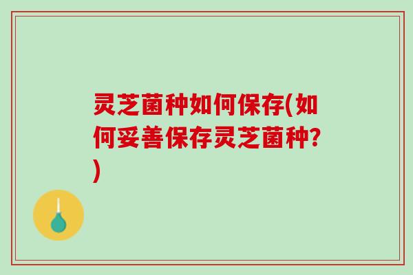 灵芝菌种如何保存(如何妥善保存灵芝菌种？)
