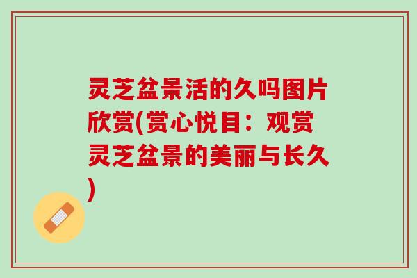 灵芝盆景活的久吗图片欣赏(赏心悦目：观赏灵芝盆景的美丽与长久)