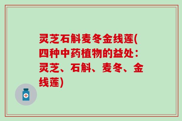 灵芝石斛麦冬金线莲(四种植物的益处:灵芝、石斛、麦冬、金线莲) 灵芝石斛麦冬金线莲(四种植物的益处:灵芝、石斛、麦冬、金线莲)
