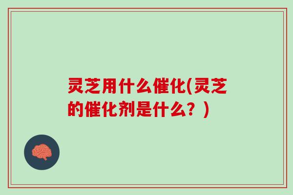 灵芝用什么催化(灵芝的催化剂是什么？)