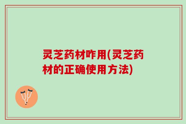 灵芝药材咋用(灵芝药材的正确使用方法)