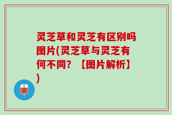 灵芝草和灵芝有区别吗图片(灵芝草与灵芝有何不同？【图片解析】)