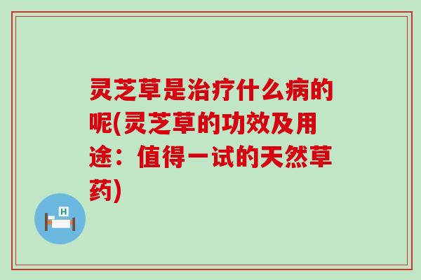 灵芝草是治疗什么病的呢(灵芝草的功效及用途：值得一试的天然草药)