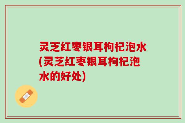 灵芝红枣银耳枸杞泡水(灵芝红枣银耳枸杞泡水的好处)